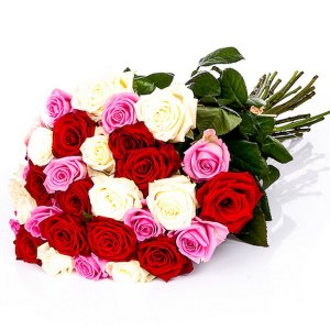 White, Red and Pink Roses