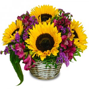 Sunflowers and Alstromeria Basket